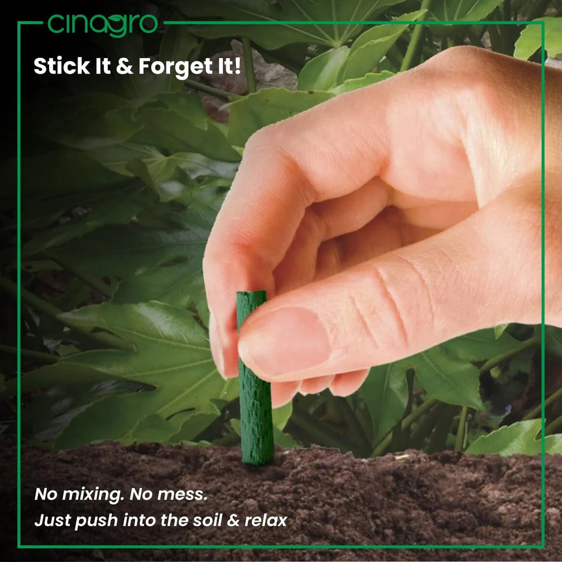 Plant Food Sticks - Organic Indoor Plant Nutrition